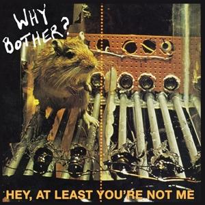 Cover for Why Bother? · Hey At Least You\'re Not Me (LP)