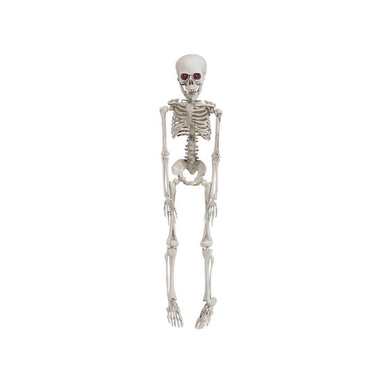 Cover for Halloween · Skeleton (50 Cm) (Toys)