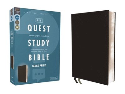 Cover for Zondervan · Niv Quest Study Bible Large Print Bonded Leather Black Comfort Print (Bog) (2024)