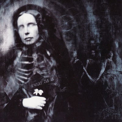 Cover for Cephalic Carnage · Anomalies (LP) (2025)