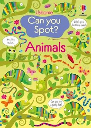 Cover for Kirsteen Robson · Can You Spot? Animals (Book) (2024)