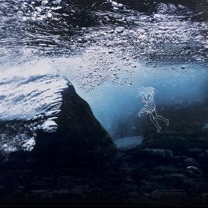 Cover for Isgaard · The Water in You (CD) (2025)