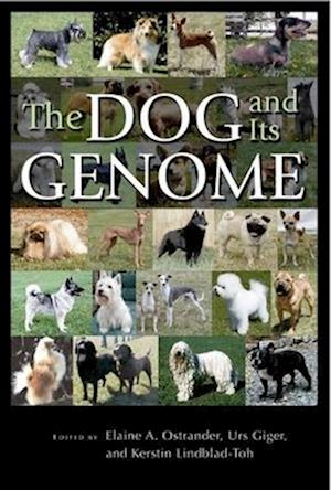 Cover for Elaine A. Ostrander · The Dog and Its Genome (Paperback Book) (2007)