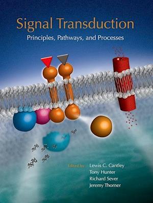 Cover for Lewis Cantley · Signal Transduction: Principles, Pathways, and Processes (Paperback Book) (2013)