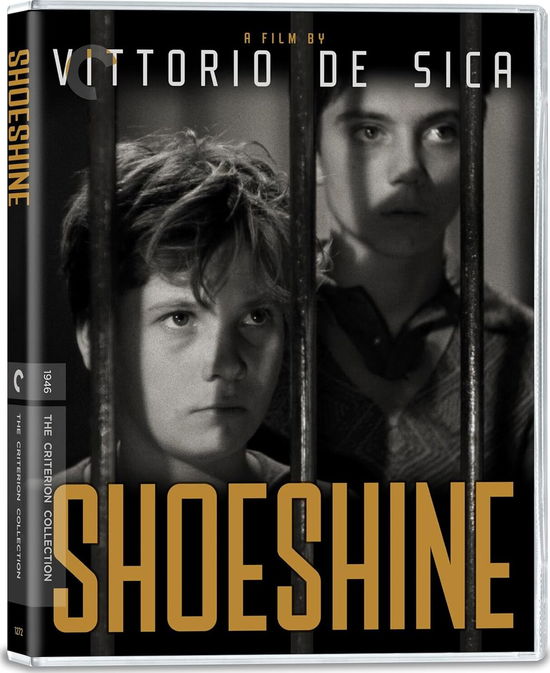 Cover for Shoeshine (4K Ultra HD/BD) (2025)