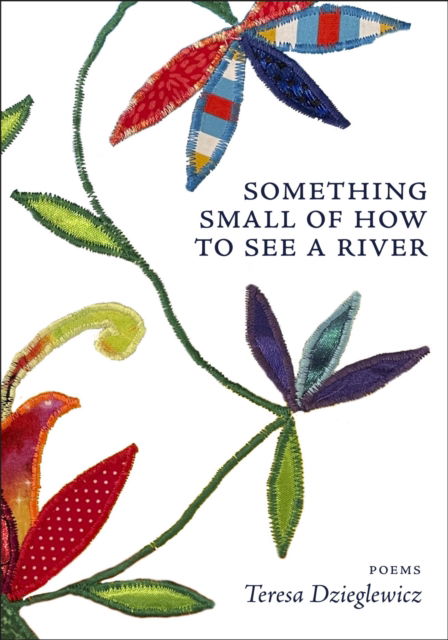 Cover for Teresa Dzieglewicz · Something Small of How to See a River (Paperback Bog) (2025)