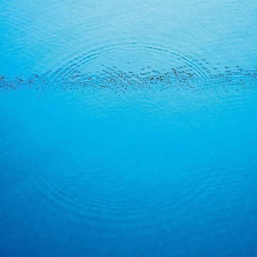 Cover for Caribou · Suddenly (CD) (2020)