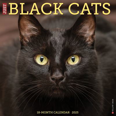 Cover for Willow Creek Press · Just Black Cats 2025 12 X 12 Wall Calendar (Kalender) (2024)