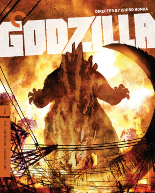 Godzilla - Godzilla BluRay - Movies - CRITERION COLLECTION - 5060952893841 - November 11, 2024