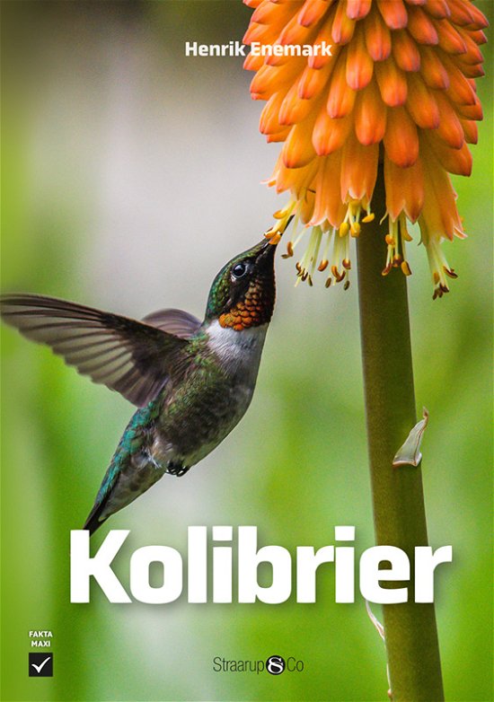Cover for Henrik Enemark · Maxi: Kolibrier (Hardcover bog) [1. udgave] (2024)