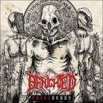Cover for Benighted · Necrobreed (LP) (2023)