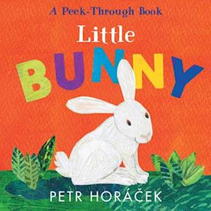 Cover for Petr Horacek · Little Bunny (Bog) (2024)