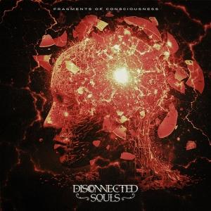 Cover for Disconnected Souls · Fragments of Consciousness (CD) (2025)