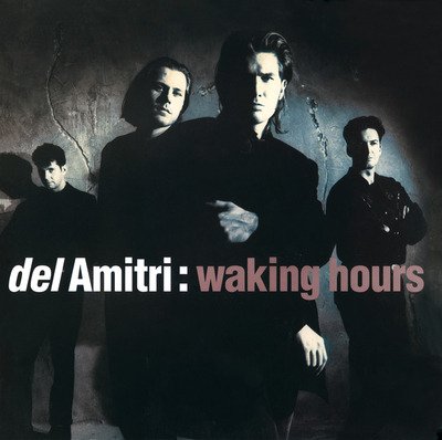 Cover for Del Amitri · Waking Hours (LP) (2024)