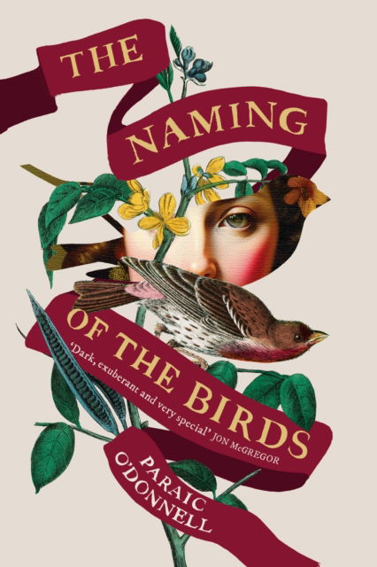 The Naming of the Birds - Paraic O'Donnell - Książki - Orion Publishing Co - 9781474614863 - 6 lutego 2025