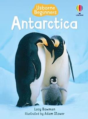 Cover for Lucy Bowman · Antarctica (Book) (2025)