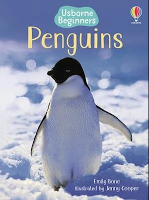 Cover for Emily Bone · Penguins (Book) (2025)