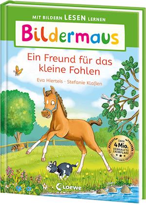 Cover for Eva Hierteis · Bildermaus - Ein Freund für das kleine Fohlen (Book) (2025)