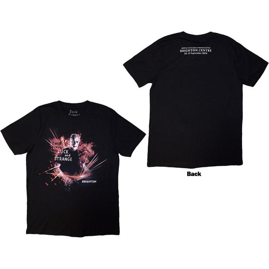 Cover for David Gilmour · David Gilmour Unisex T-Shirt: Luck &amp; Strange Brighton (Black) (Back Print &amp; Ex-Tour) (T-shirt) [size M]