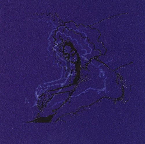 Cover for Polar Bear · Dim Lit (LP) (2025)