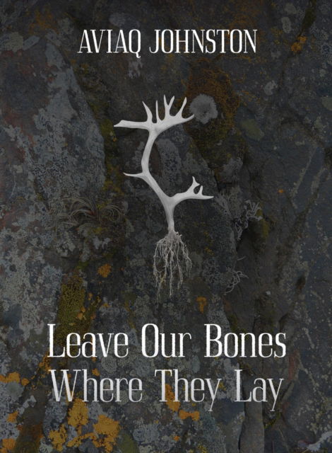 Cover for Aviaq Johnston · Leave Our Bones Where They Lay (Paperback Book) (2026)