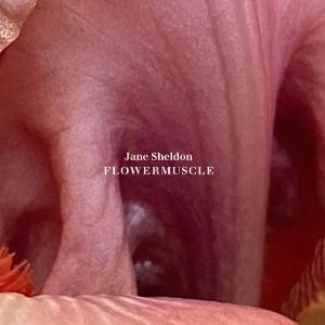 Cover for Jane Sheldon · Flowermuscle (CD) (2025)