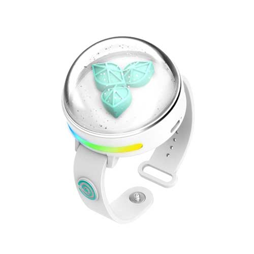 Cover for DAY6 · Official Light Band VER 3 (Light Stick) (2025)