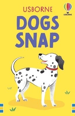 Cover for Fiona Patchett · Dogs Snap - Snap Cards (Lernkarteikarten) (2025)