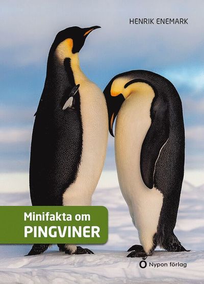 Cover for Henrik Enemark · Minifakta om pingviner (Hardcover Book) [Ned edition] (2022)