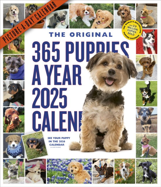 Cover for Workman Calendars · 365 Puppies-A-Year Picture-A-Day® Wall Calendar 2025 (Calendar) (2024)
