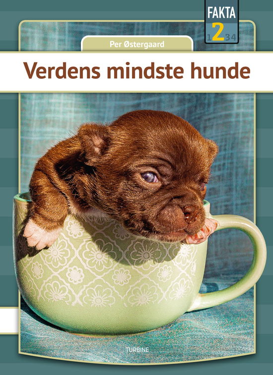 Cover for Per Østergaard · Fakta 2: Verdens mindste hunde (Hardcover Book) [1st edition] (2025)