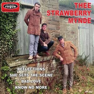 Cover for Thee Strawberry Mynde · Reflections (LP) (2025)