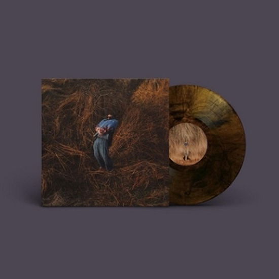 Cover for Jack Garratt · Pillars (LP) [Limited Marbled Honey Vinyl edition] (2025)