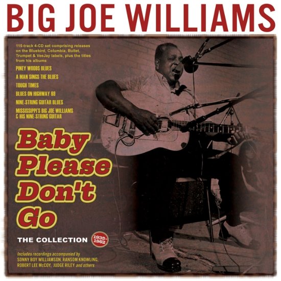 Cover for Big Joe Williams · Baby Please Dont Go: The Collection 1935-62 (CD) (2024)