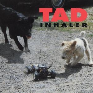 Cover for Tad · Inhaler (CD) (2025)