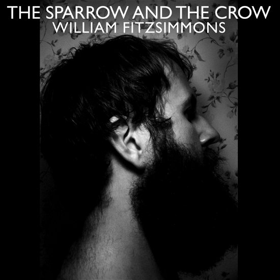 Cover for LP · Lp-william Fitzsimmons-the Sparrow and The-rsd2024 (LP)