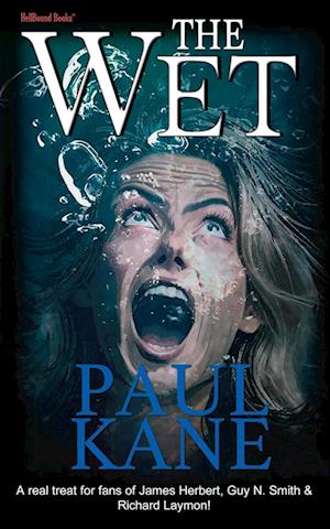 Cover for Paul Kane · Wet (Book) (2024)