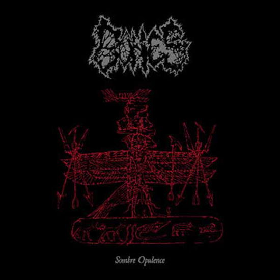 Cover for Bones · Sombre Opulence (Cassette) (2024)