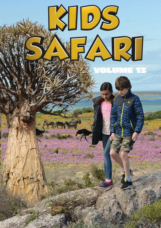 Cover for Feature Film · Kids Safari: Volume Thirteen (DVD) (2024)