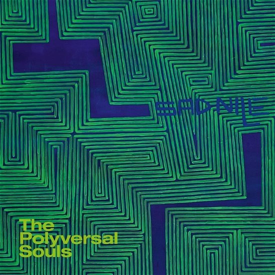 Cover for Polyversal Souls · Sad Nile (LP) (2023)