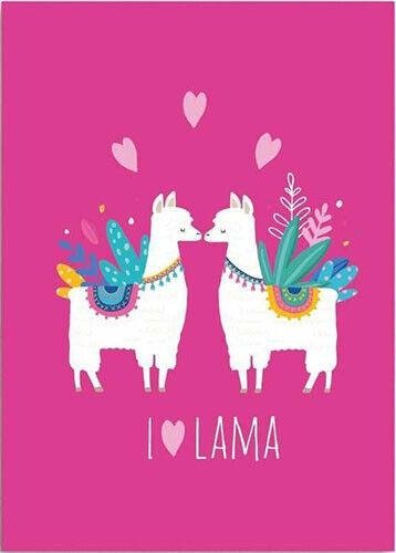 Cover for Lama · Fleecedeken Lama (Toys)