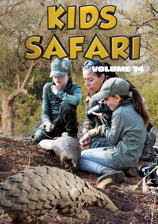 Cover for Feature Film · Kids Safari: Volume Fourteen (DVD) (2024)