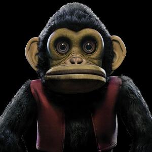 Cover for Edo Van Breemen · The Monkey (Colored / eco Vinyl) (LP) [Coloured edition] (2025)