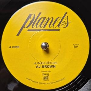 Cover for Aj Brown · Human Nature (LP)