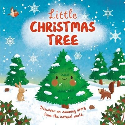 Cover for Autumn Publishing · Little Christmas Tree - An illustrated story about the life-cycle of a Christmas tree (Hardcover Book) (2024)
