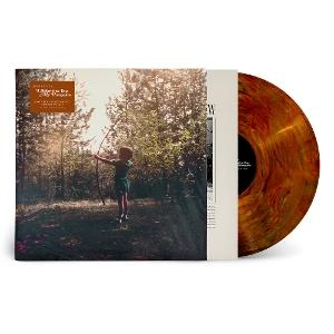 Cover for Josh Ritter · Believe in You My Honeydew (LP) (2025)