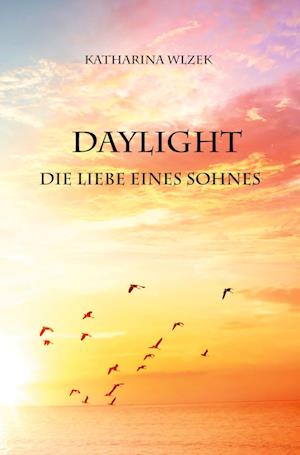 Cover for Katharina Wlzek · Daylight (Bok) (2022)