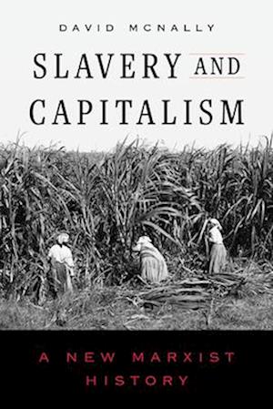 Cover for David McNally · Slavery and Capitalism: A New Marxist History (Hardcover Book) (2025)