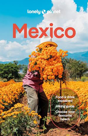 Cover for Lonely Planet · Lonely Planet Mexico - Travel Guide (Paperback Book) [19th edition] (2025)