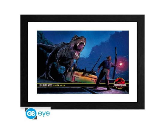 Cover for Jurassic Park · Framed Print Alan Grant Vs T-rex (30x40) X2 (MERCH)